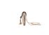 Serpenti Forever Clutch, bottom view